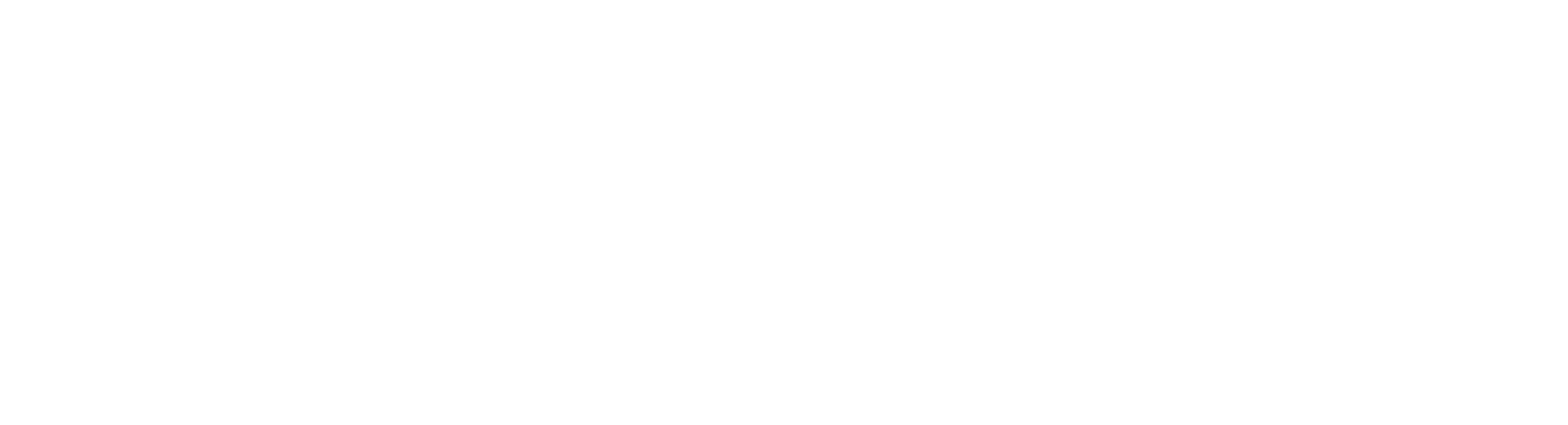 Wildcats Animation